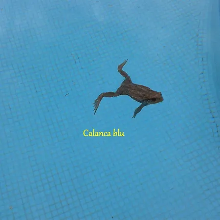 Calanca Blu : Grand Cuges-les-Pins